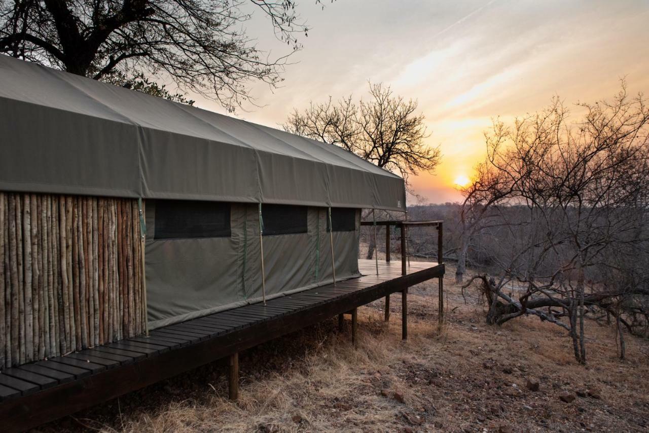豪华帐篷Parsons Hilltop Safari Camp 4*